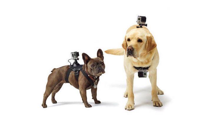 Dog Pet Pulling Harnesses Chest Strap Belt Mount for Xiaomi Yi Sports Camera